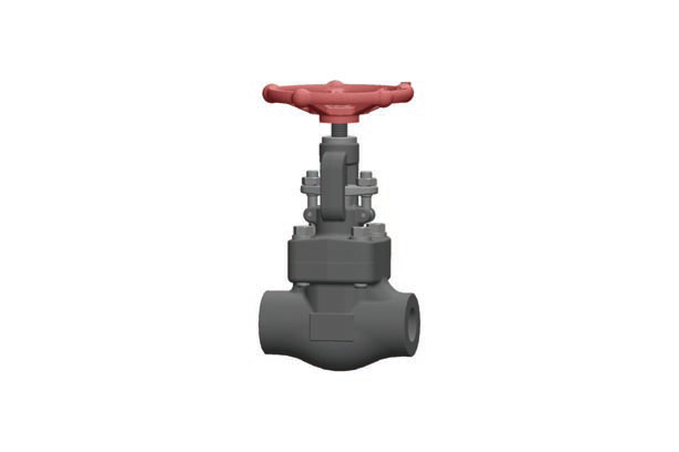 GLOBE VALVES