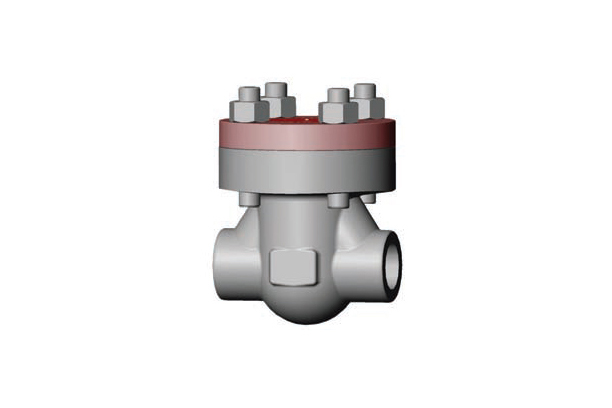 CHECK VALVES