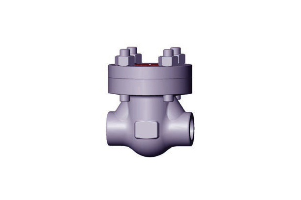 CHECK VALVES