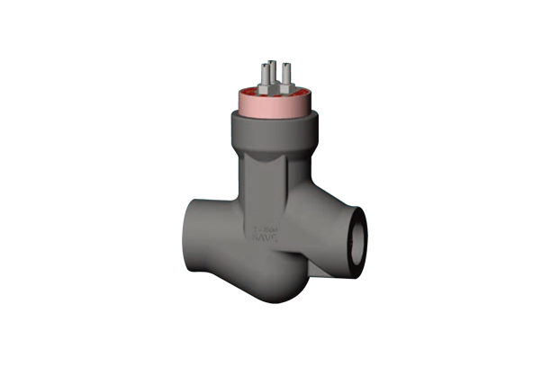 CHECK VALVES