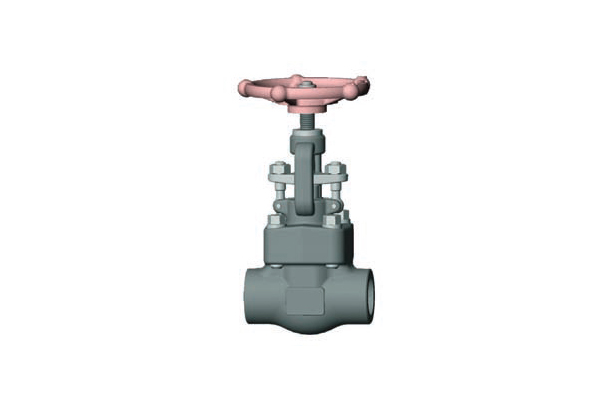 CHECK VALVES