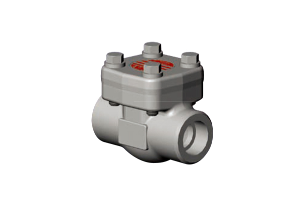 CHECK VALVES