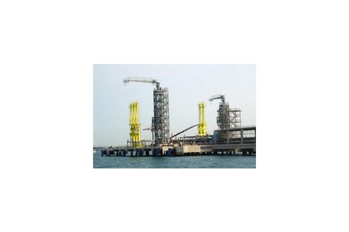 Gangway Tower With Jib Crane System