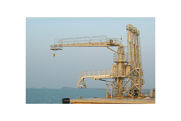 Column Type Gangway with Jib Crane