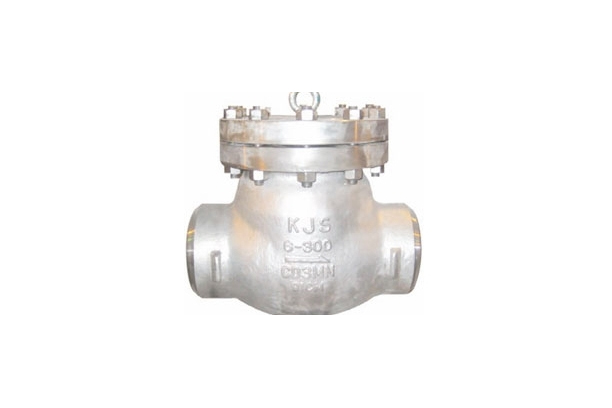 CRYOGENIC SWING CHECK