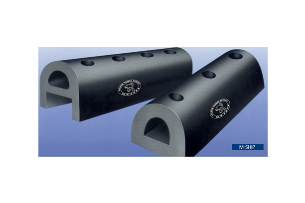 M-SHIP