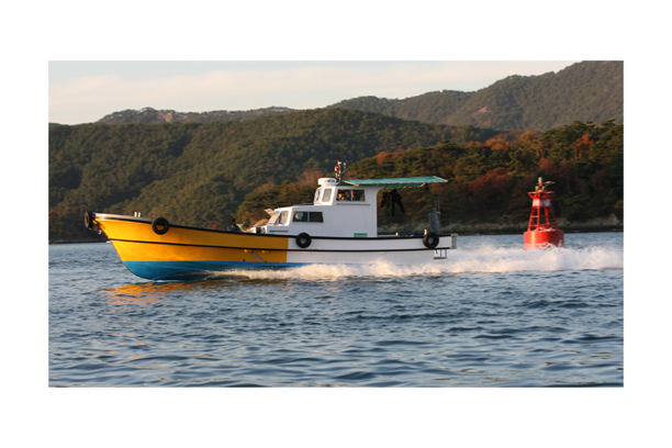 Supervision boat SW 4.2T