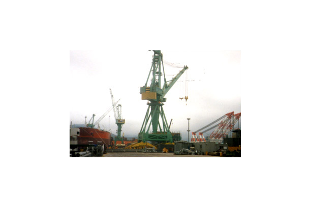 Level Luffing Crane 200Ton