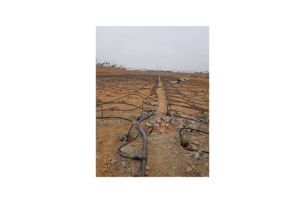 Vacuum consolidation