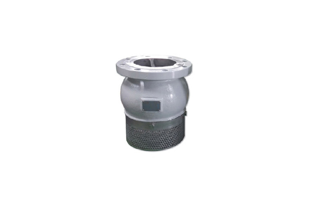 5-Way Union Check Valve