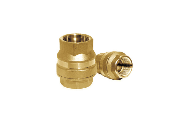 Pan Check Valve(Screw type)